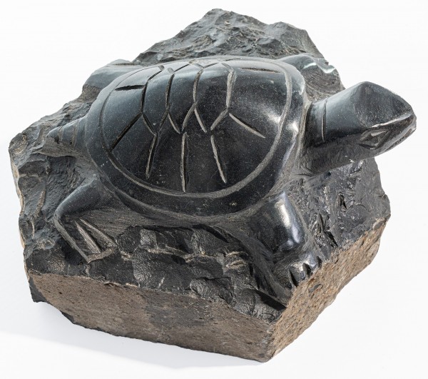 Basalt-Schildkröte